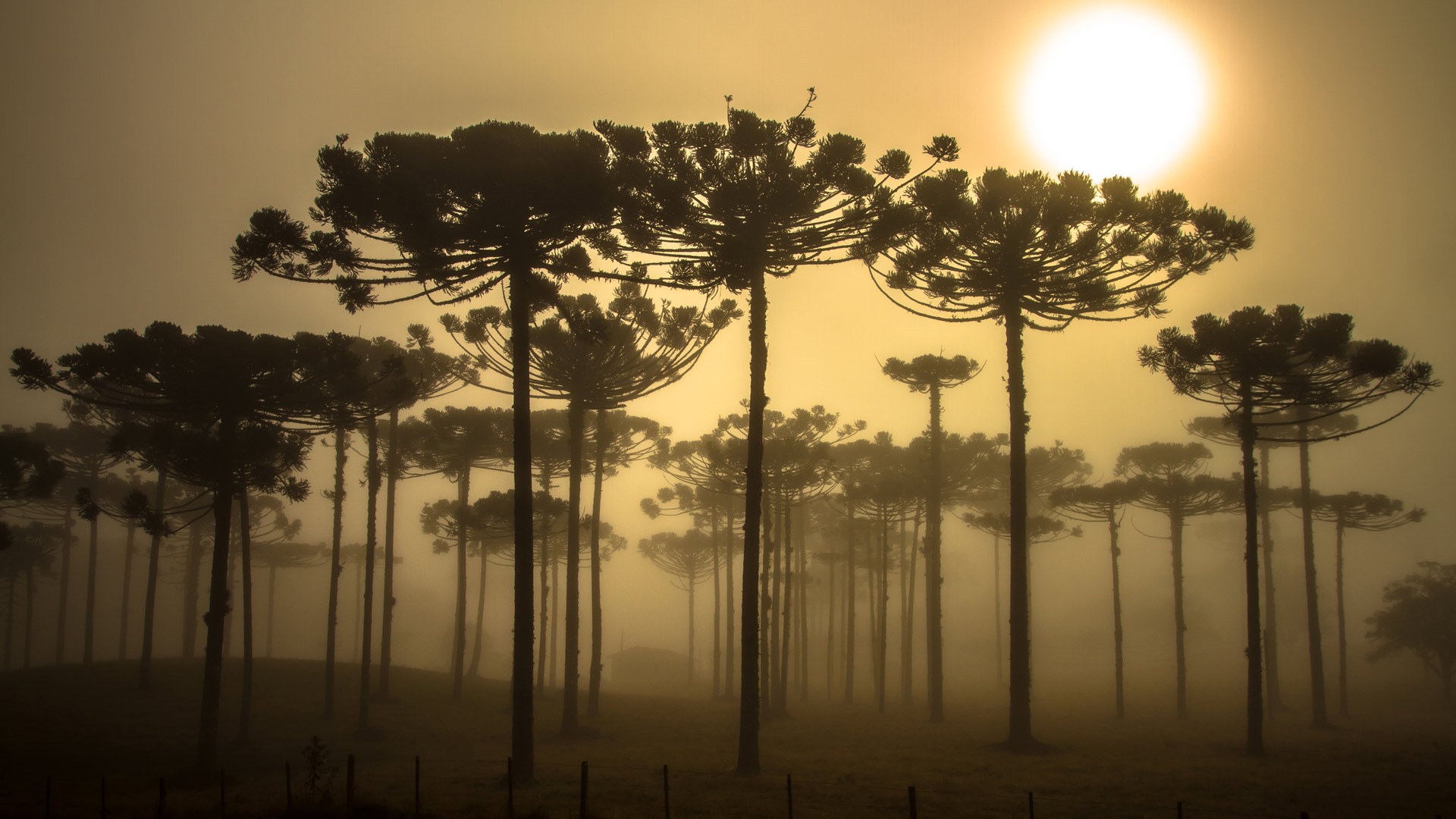 Septembre 2016 Bing thème Fonds d'écran HD (2) #24 - 1920x1080