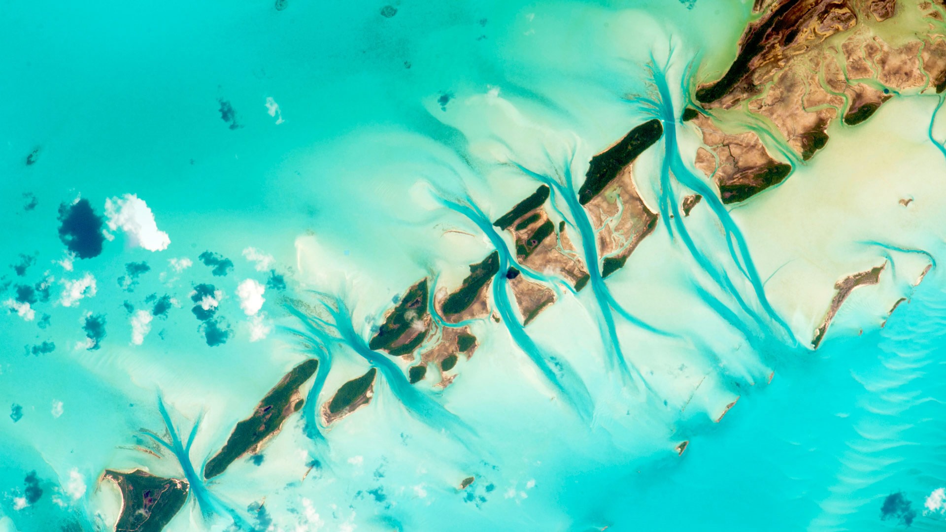 October 2016 Bing theme HD wallpapers (1) #5 - 1920x1080