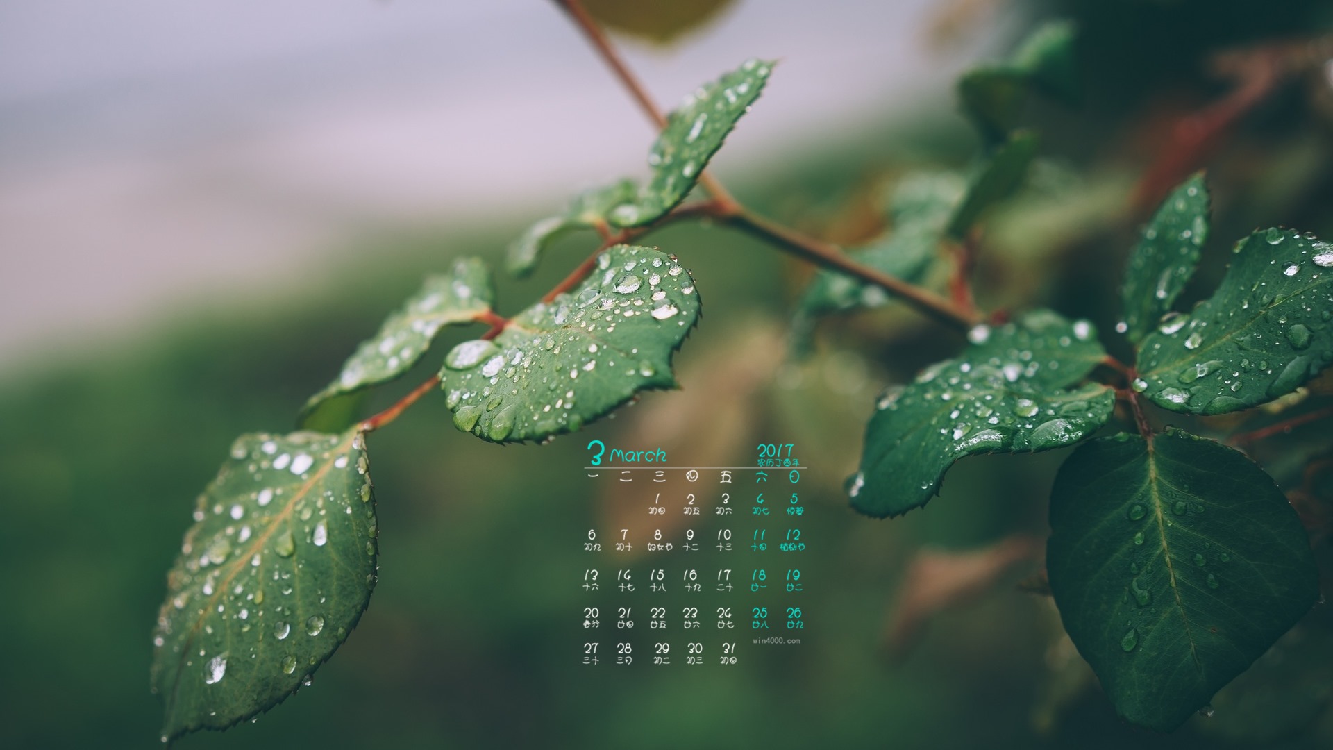 Fondo de pantalla del calendario de marzo de 2017 (1) #7 - 1920x1080