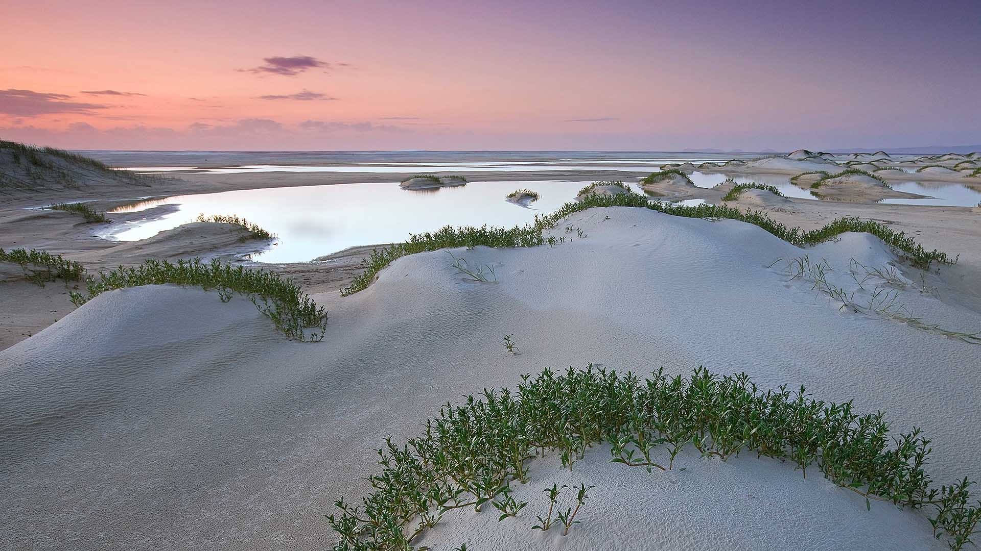 Noviembre de 2016 Bing tema HD fondos de pantalla (1) #2 - 1920x1080