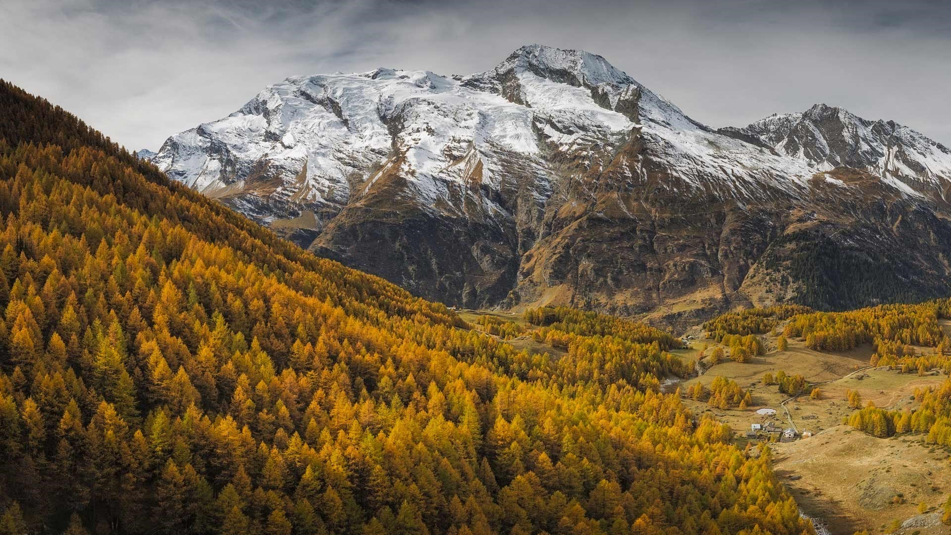 Novembre 2016 Bing thème HD fonds d'écran (2) #25 - 1920x1080