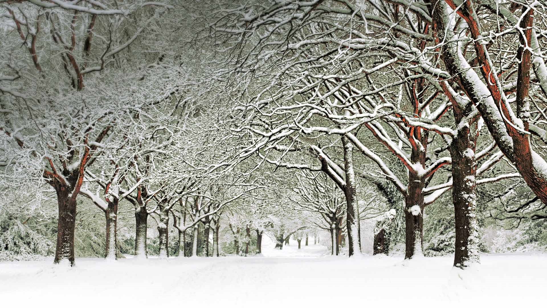 Diciembre 2016 Bing tema HD fondos de pantalla (2) #18 - 1920x1080