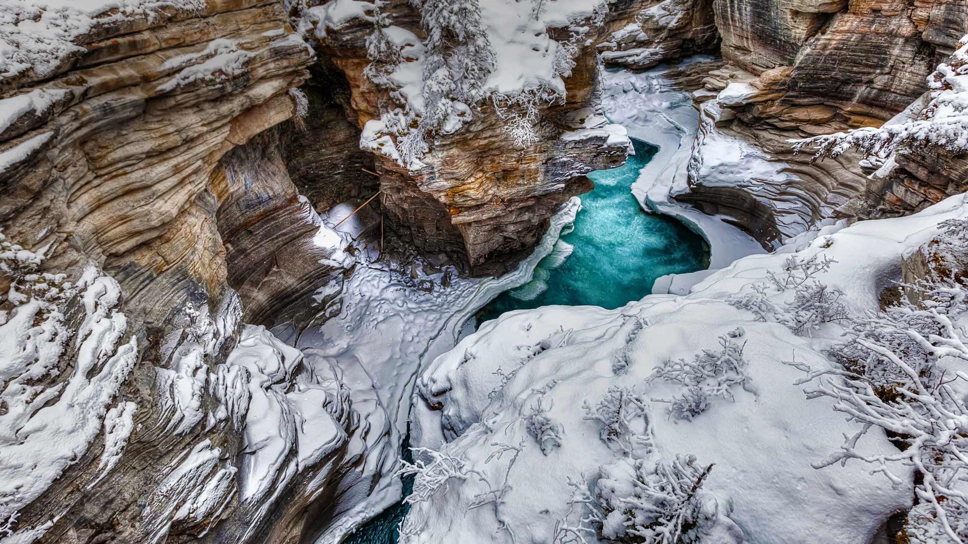 Décembre 2016 Fonds d'écran HD de thème Bing (2) #21 - 1920x1080