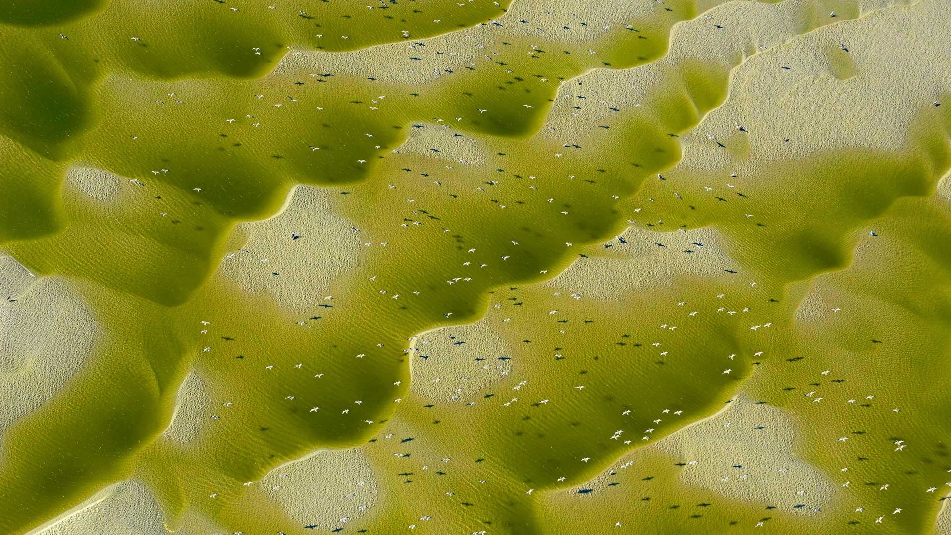 2017年2月 Bing必應主題高清壁紙(二) #33 - 1920x1080