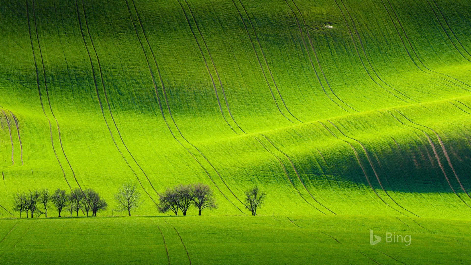 Duben 2017 Bing téma tapety s vysokým rozlišením #22 - 1920x1080