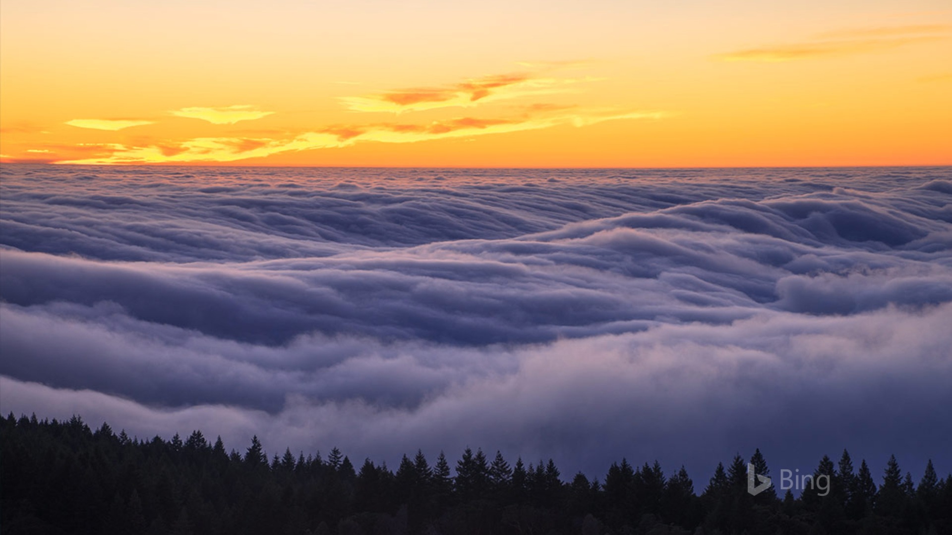 Mayo de 2017 Tema de Bing de fondo de pantalla de alta definición #31 - 1920x1080