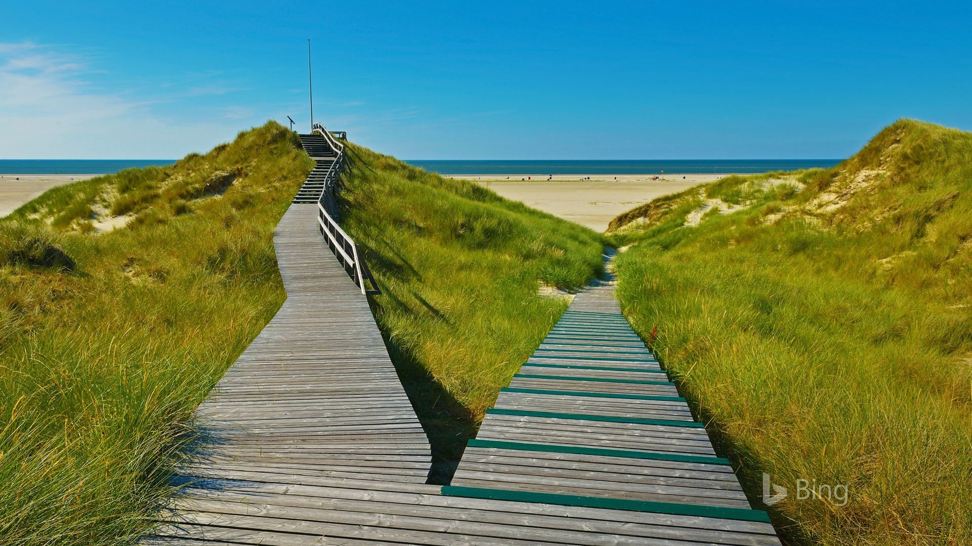 Junio de 2017 Tema de Bing de fondo de pantalla de alta definición #28 - 1920x1080