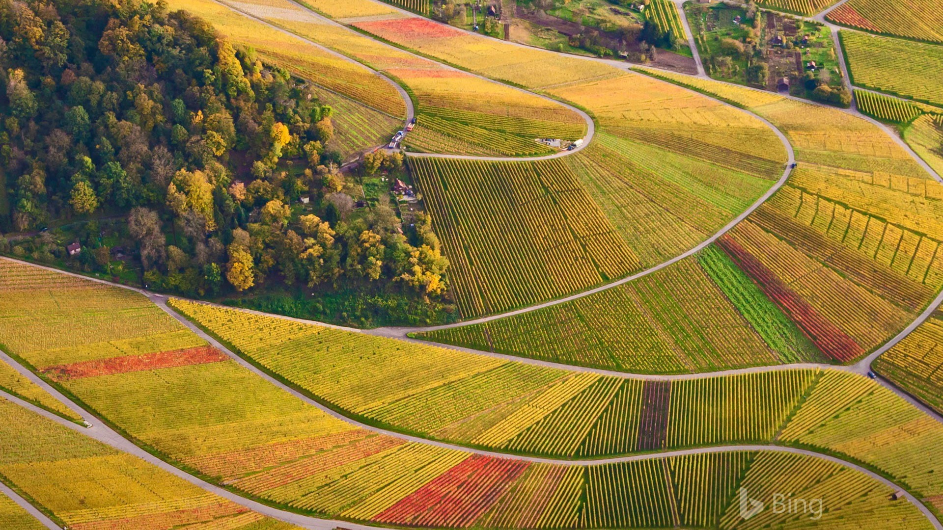 Září 2017 Bing téma HD tapetu #20 - 1920x1080