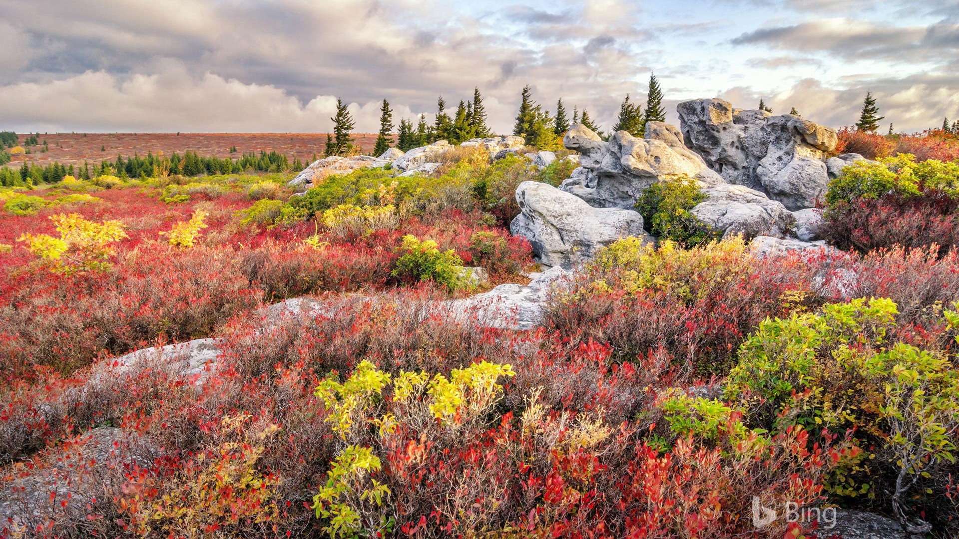 Septiembre de 2017 fondo de pantalla Bing theme HD #22 - 1920x1080