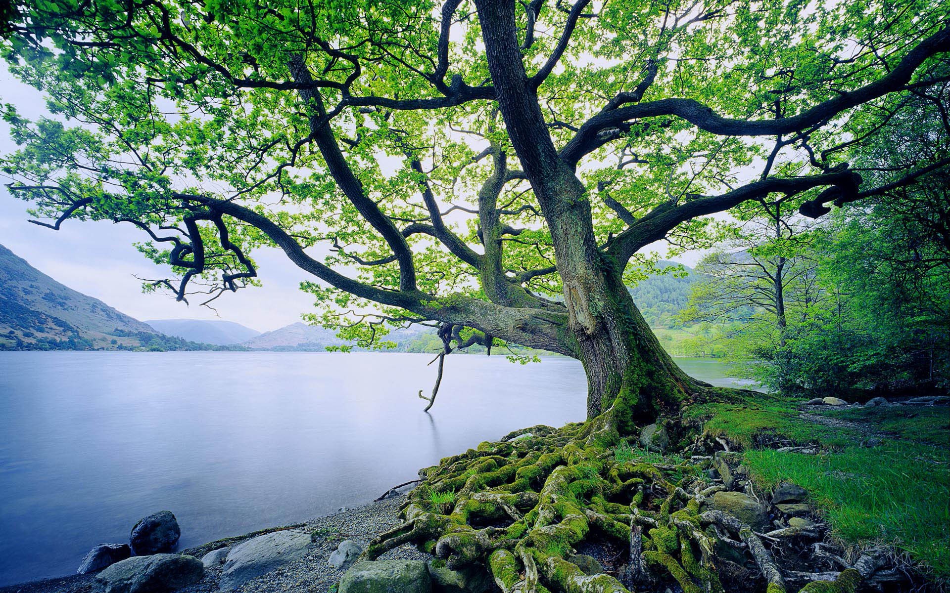 Windows7 官方壁紙 #1 - 1920x1200