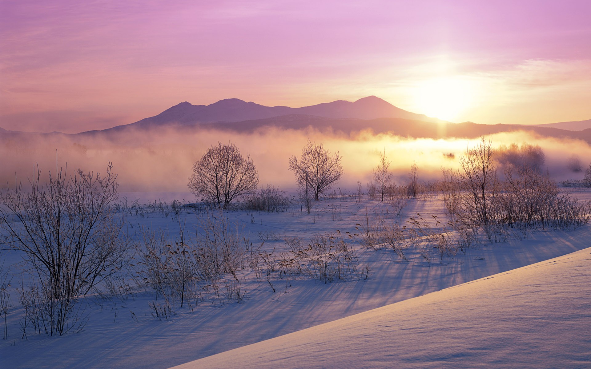 Windows7 官方壁紙 #4 - 1920x1200