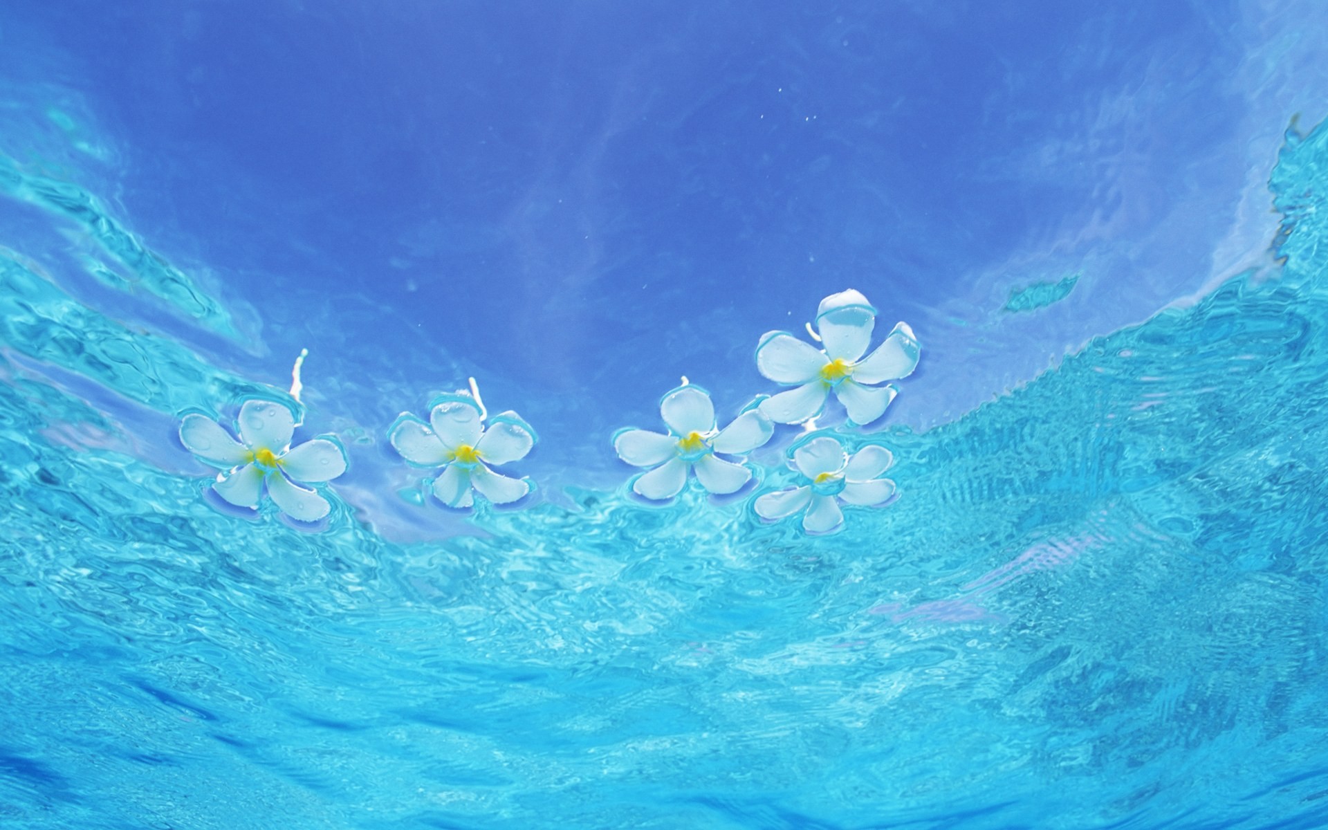 Maldivas agua y el cielo azul #11 - 1920x1200