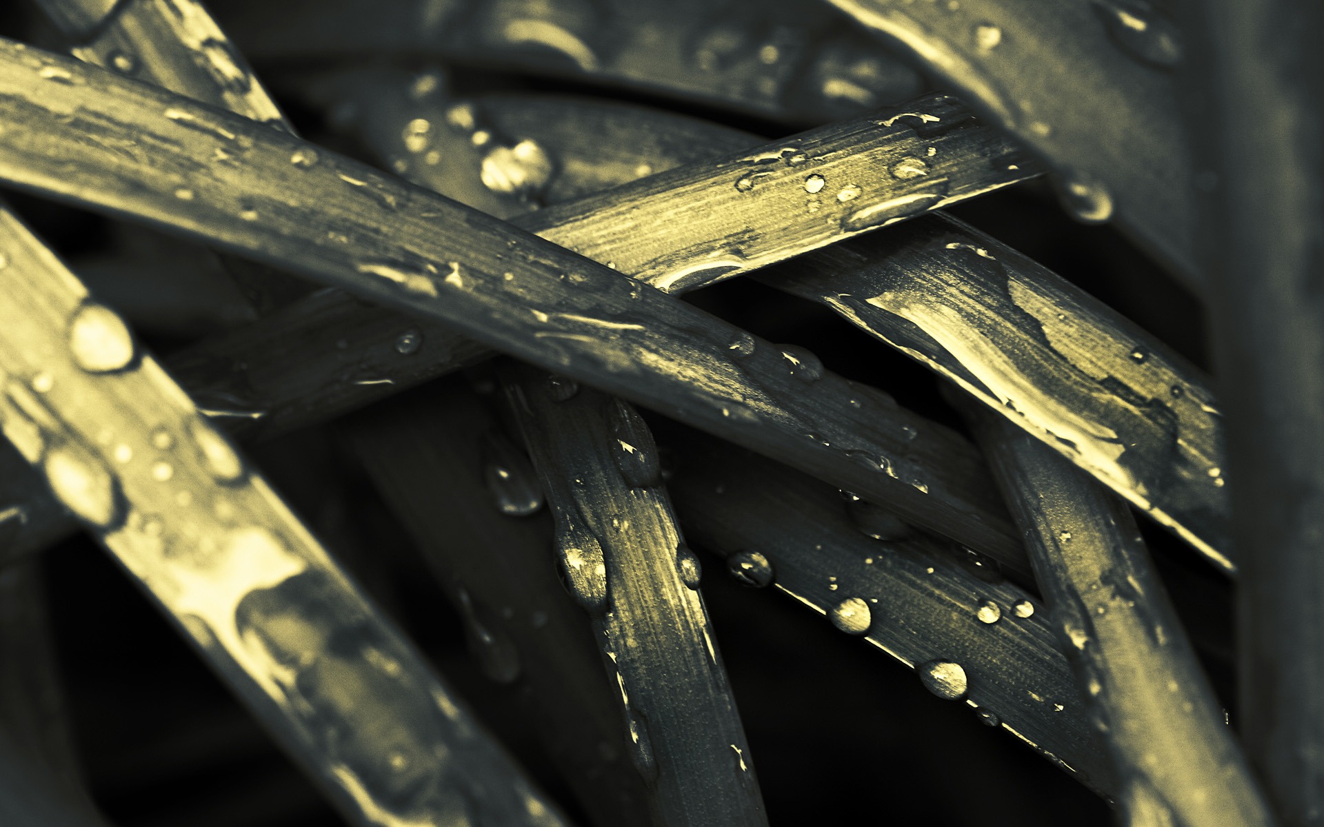 寬屏藝術設計高清壁紙 #35 - 1920x1200