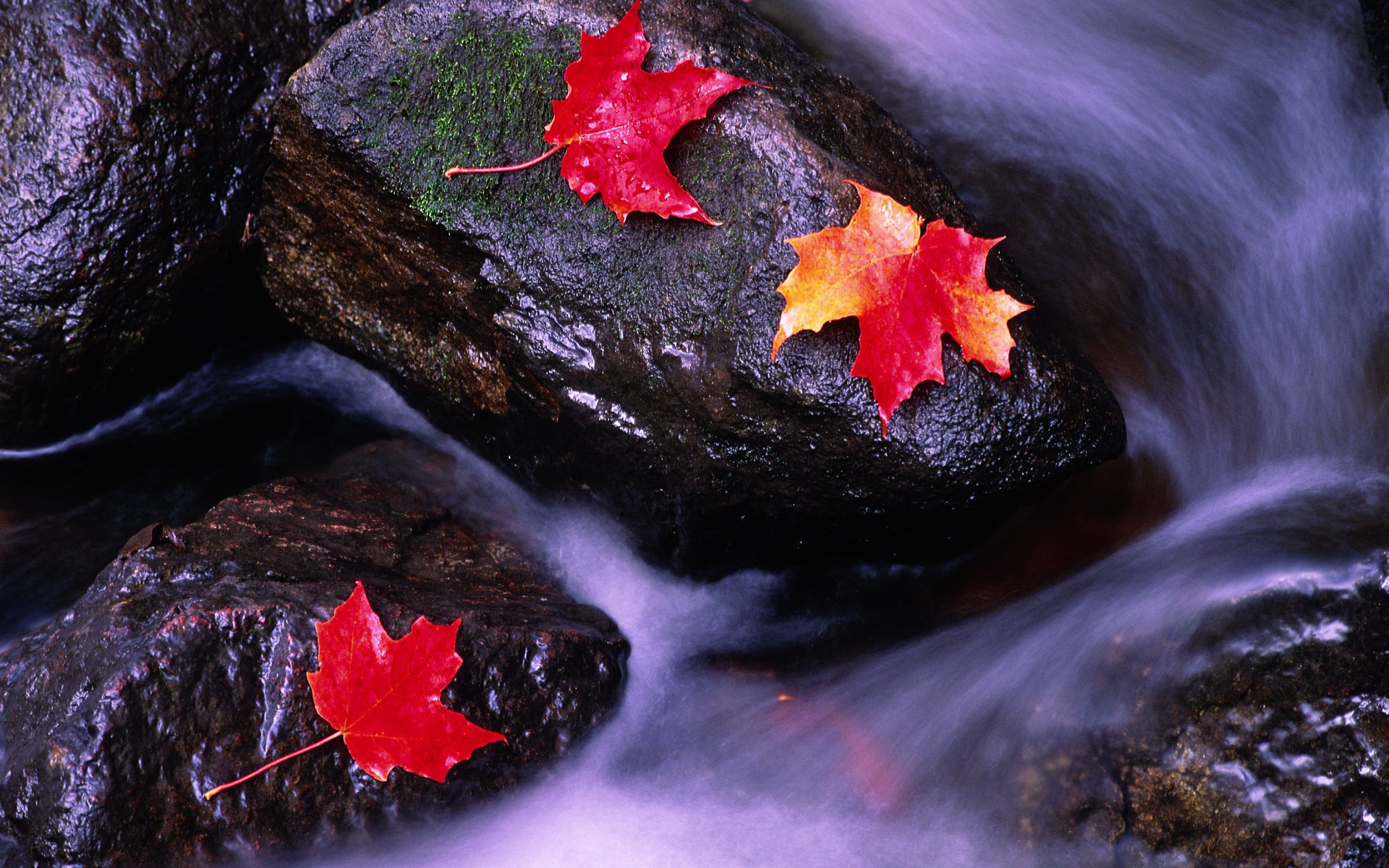  Windows7の公式風景の壁紙 #3 - 1920x1200