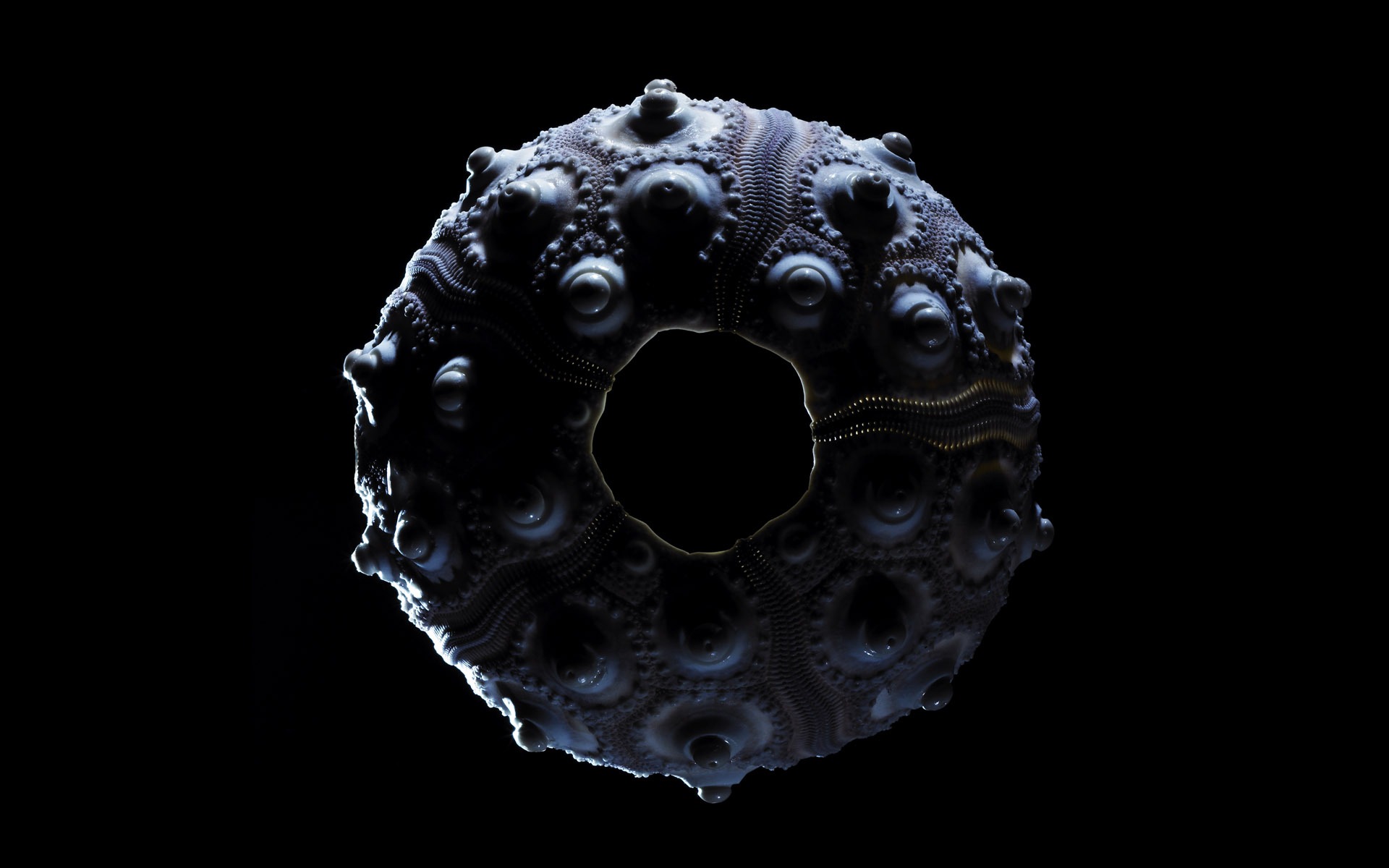 ミレニアム生物壁紙アルバム(5) #10 - 1920x1200