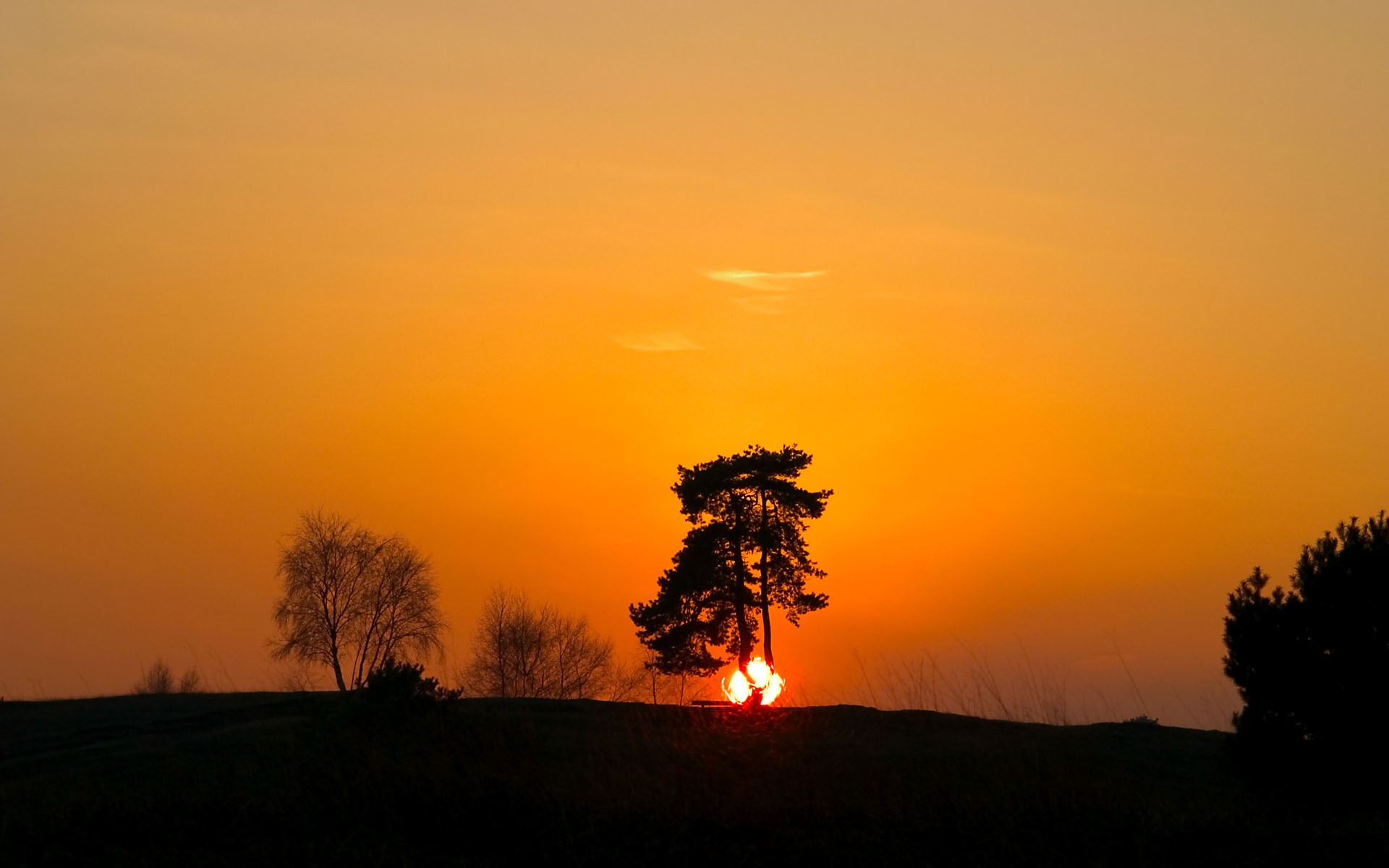 záře slunce HD skvělé tapety (1) #2 - 1920x1200