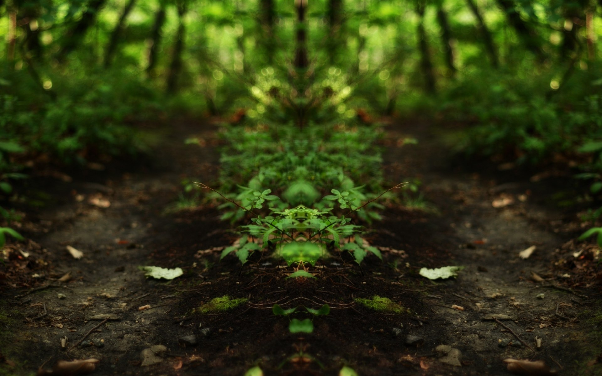 自然隨拍風景壁紙 #27 - 1920x1200