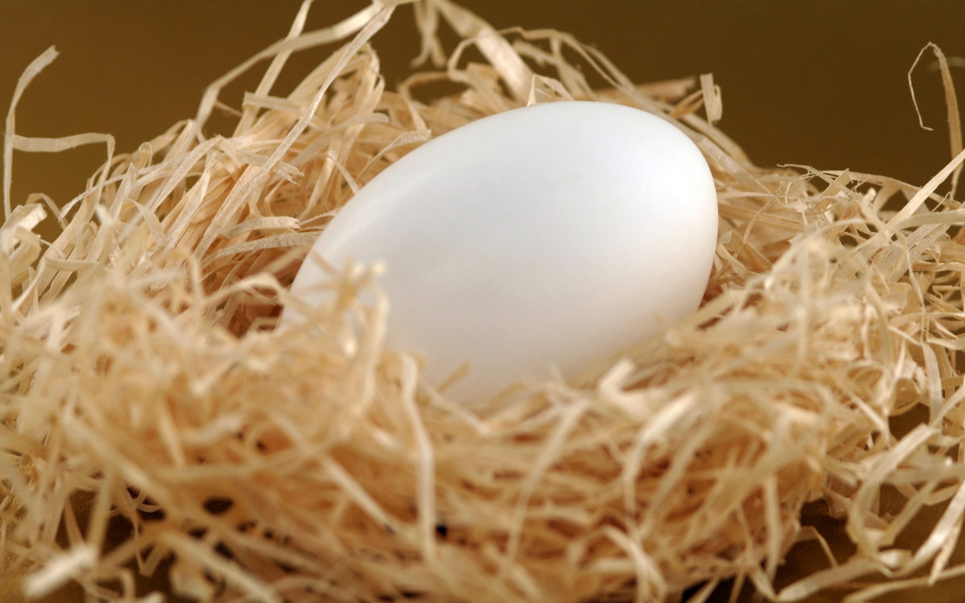 Easter Egg wallpaper (1) #1 - 1920x1200
