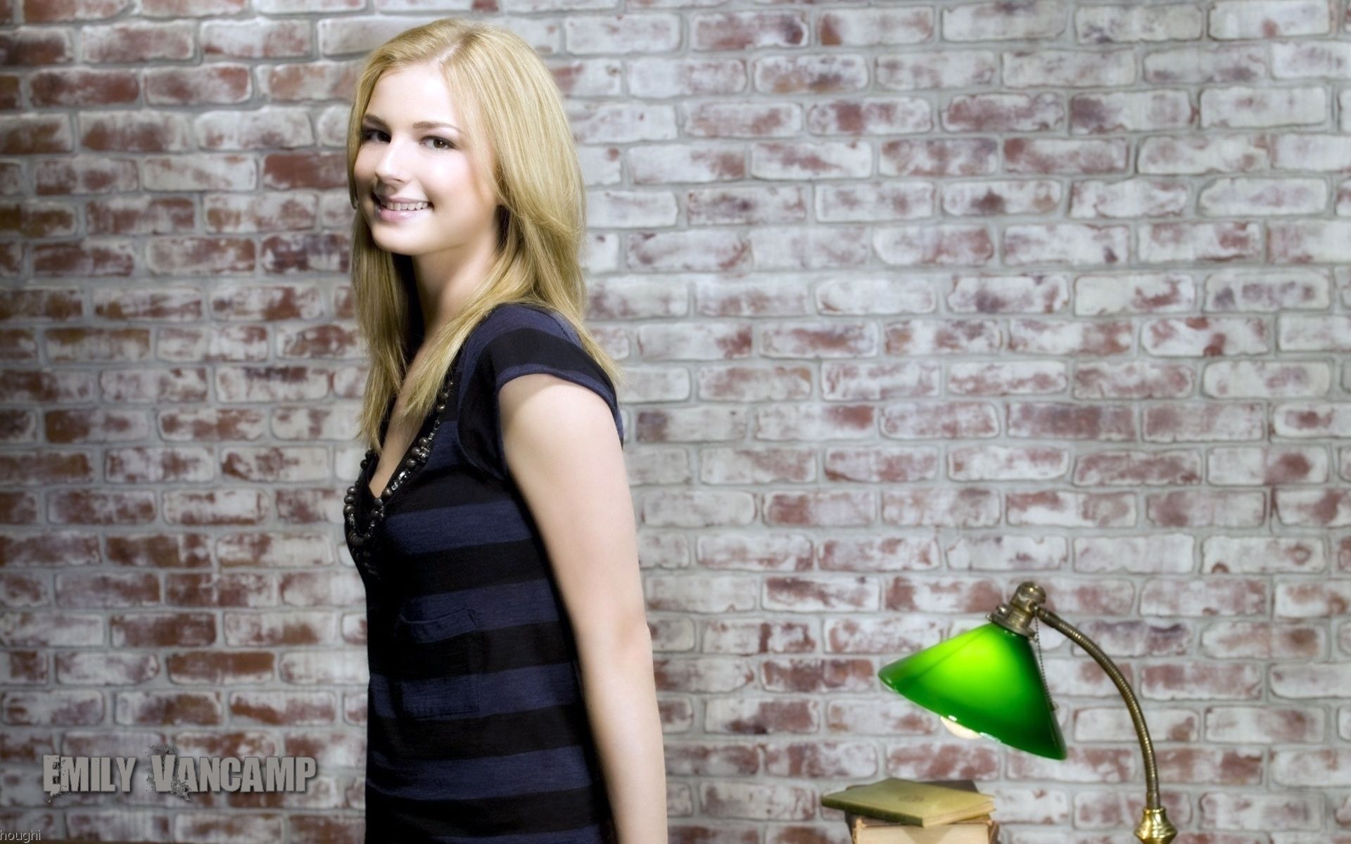 Emily VanCamp hermoso fondo de pantalla #14 - 1920x1200