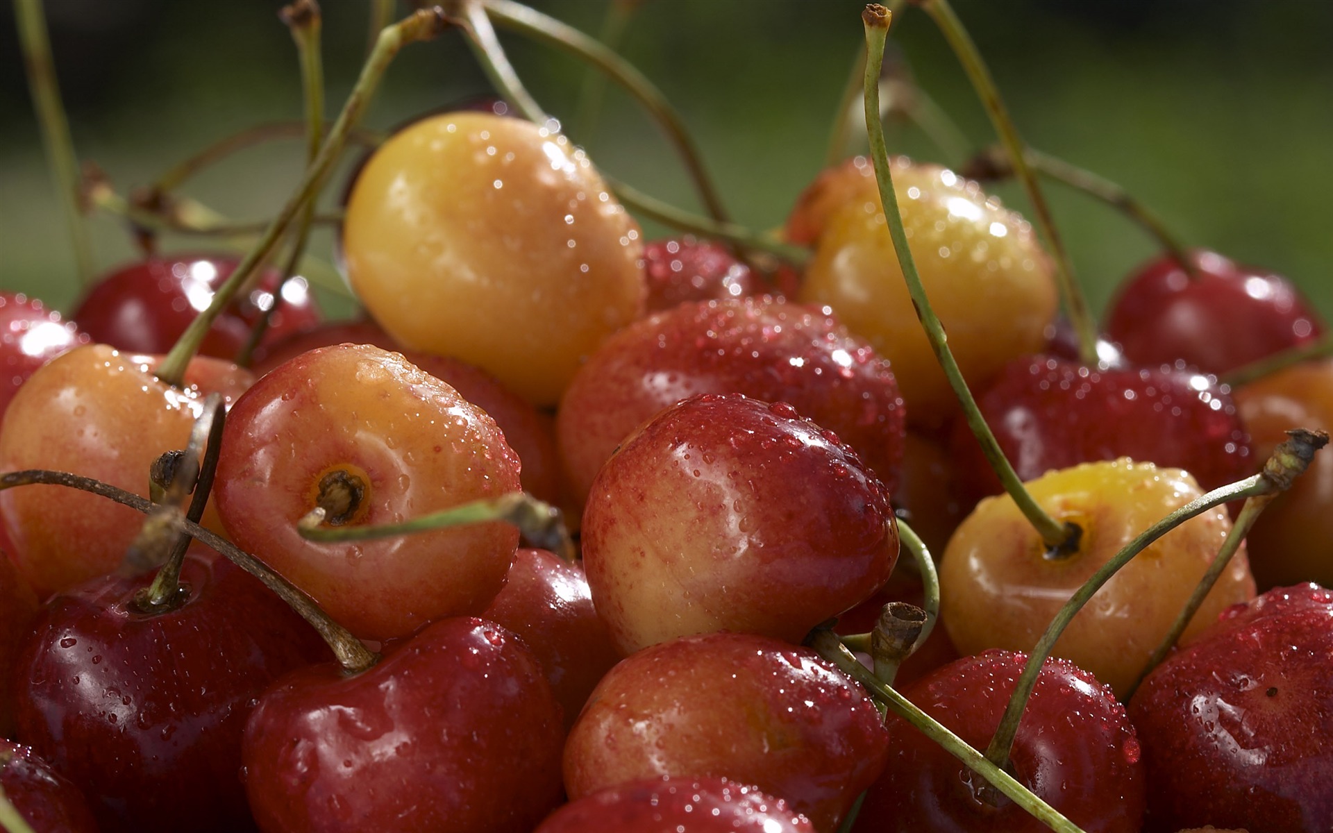 Fond d'écran Caractéristiques de gros fruits (1) #19 - 1920x1200