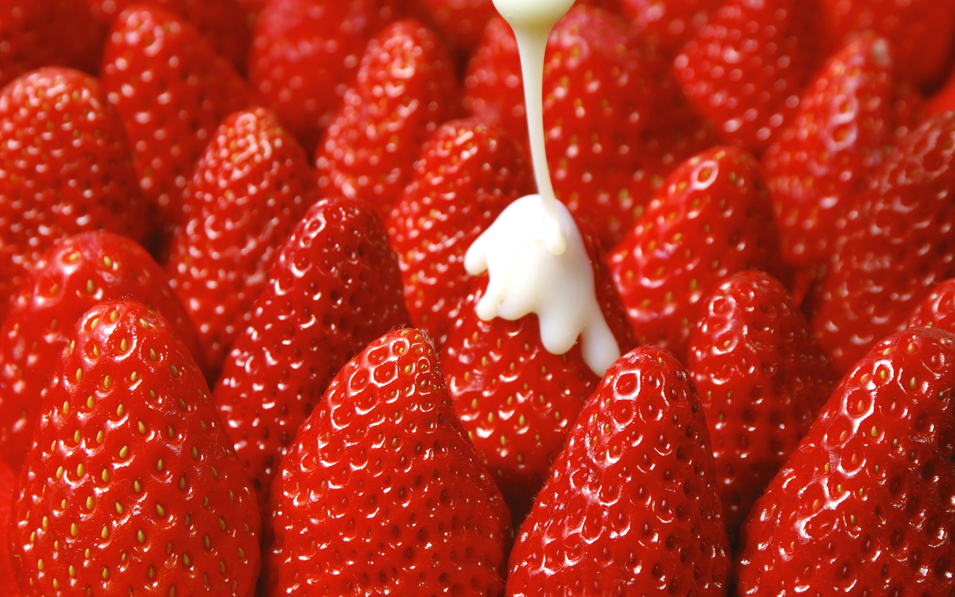 HD wallpaper fresh strawberries #16 - 1920x1200