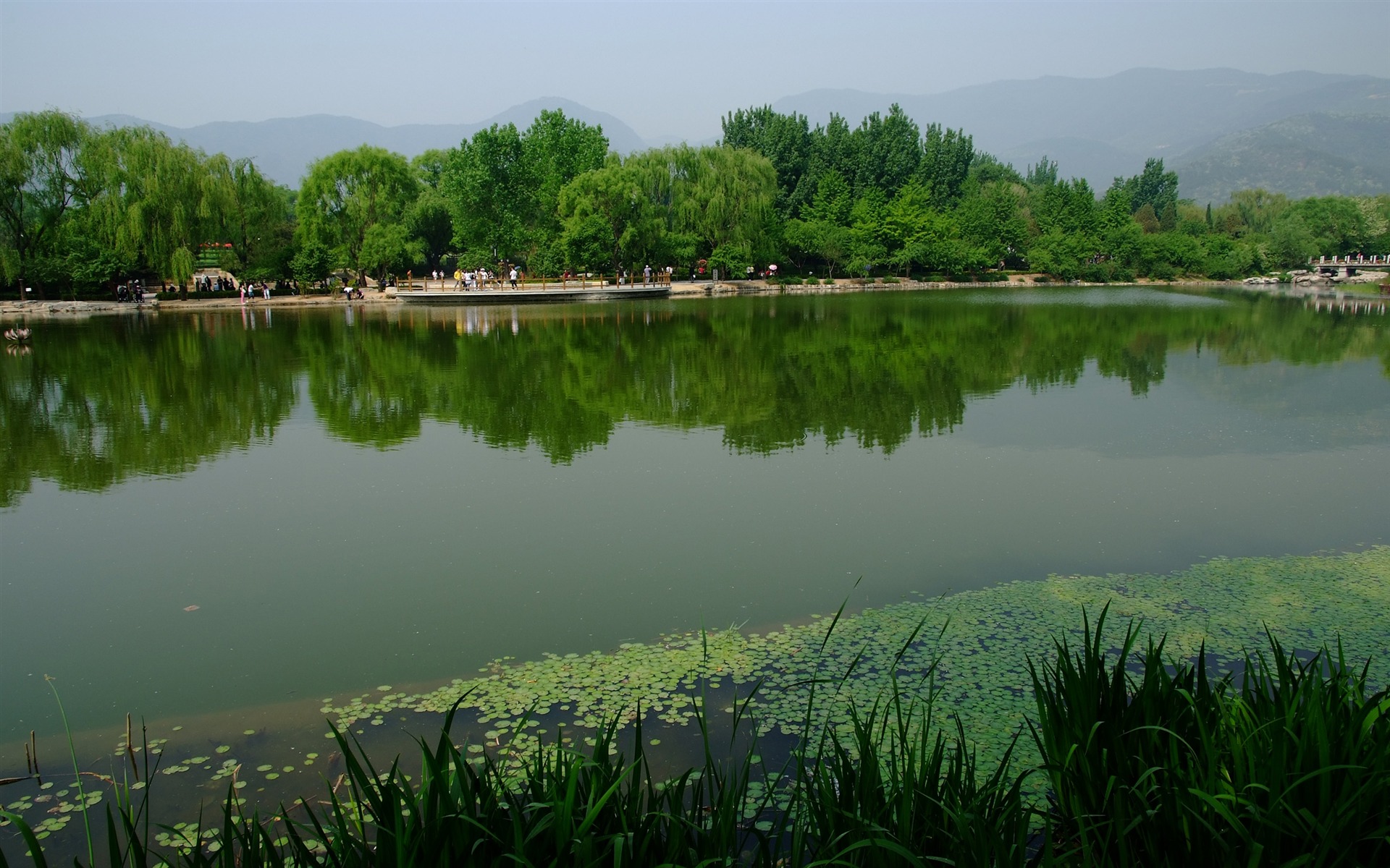 Xiangshan early summer garden (rebar works) #12 - 1920x1200