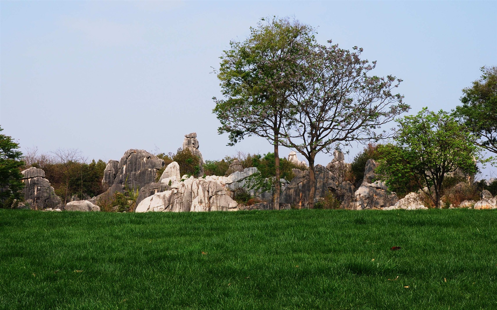 Stone Forest in Yunnan line (2) (Khitan wolf works) #28 - 1920x1200