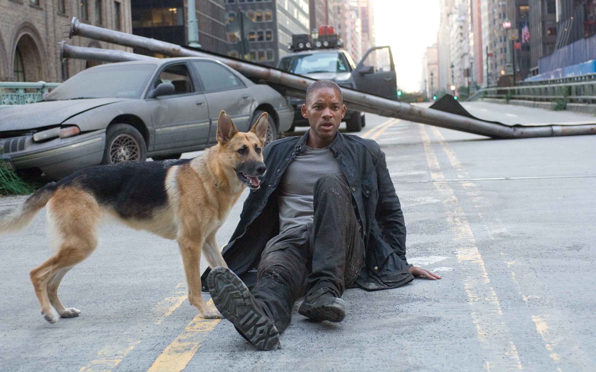 I Am Legend HD wallpaper #2 - 1920x1200