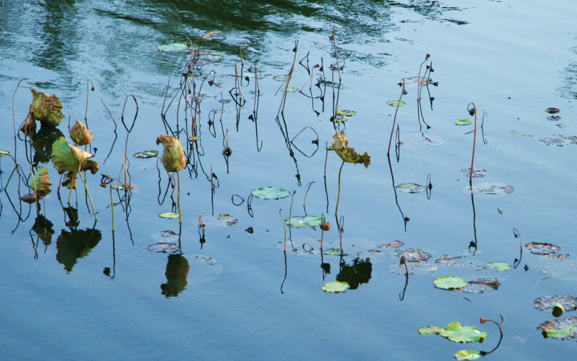 Landscape photography (4) (Li Shanquan works) #18 - 1920x1200