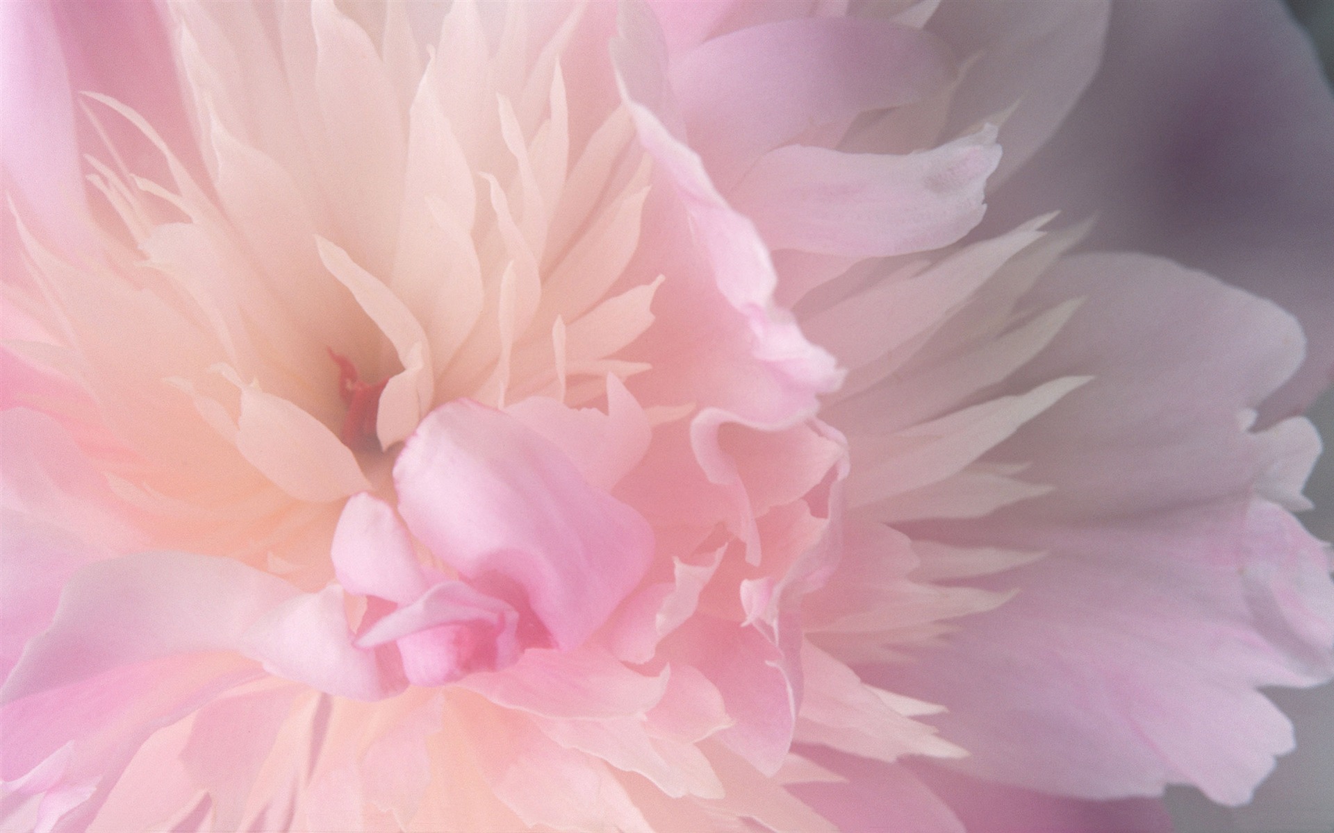 MAC OS X 系統 高清壁紙(一) #5 - 1920x1200
