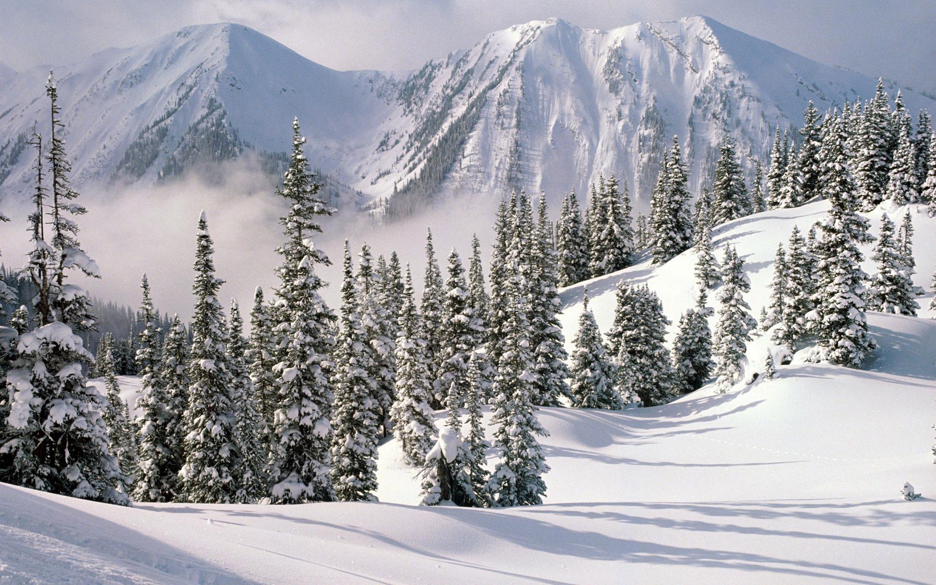Fond d'écran panoramique de neige (1) #19 - 1920x1200