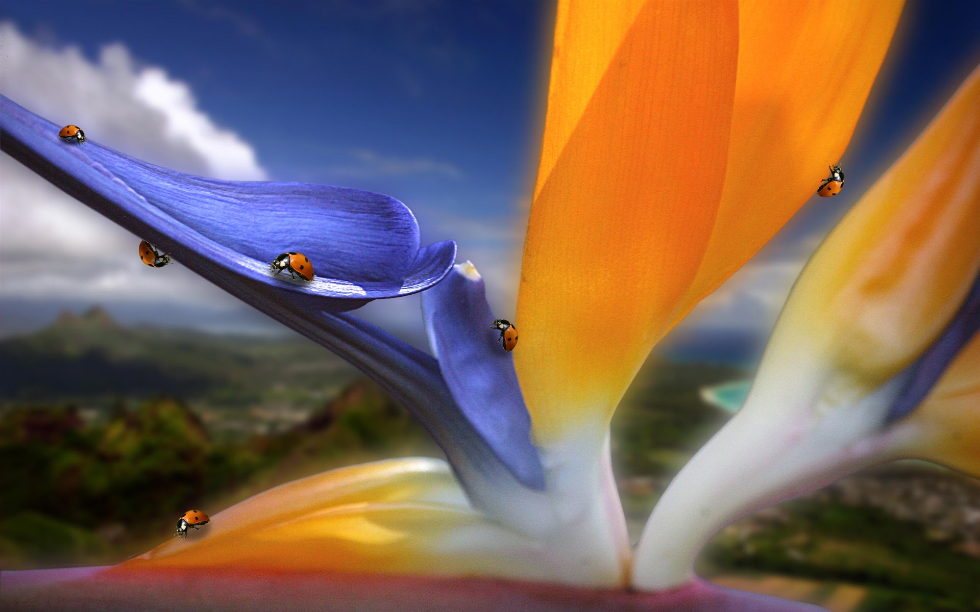大緑のクローズアップ花の壁紙 (1) 葉 #11 - 1920x1200