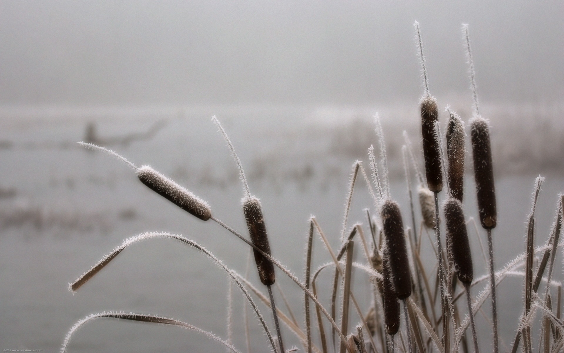 경관 콜렉션 벽지 (23) #4 - 1920x1200