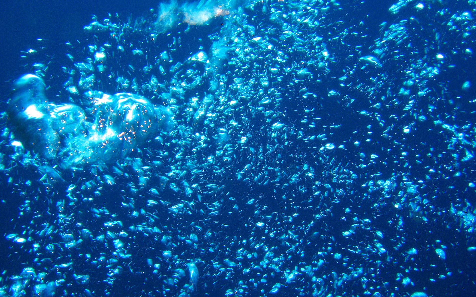 Zábava Underwater World (4) #23 - 1920x1200