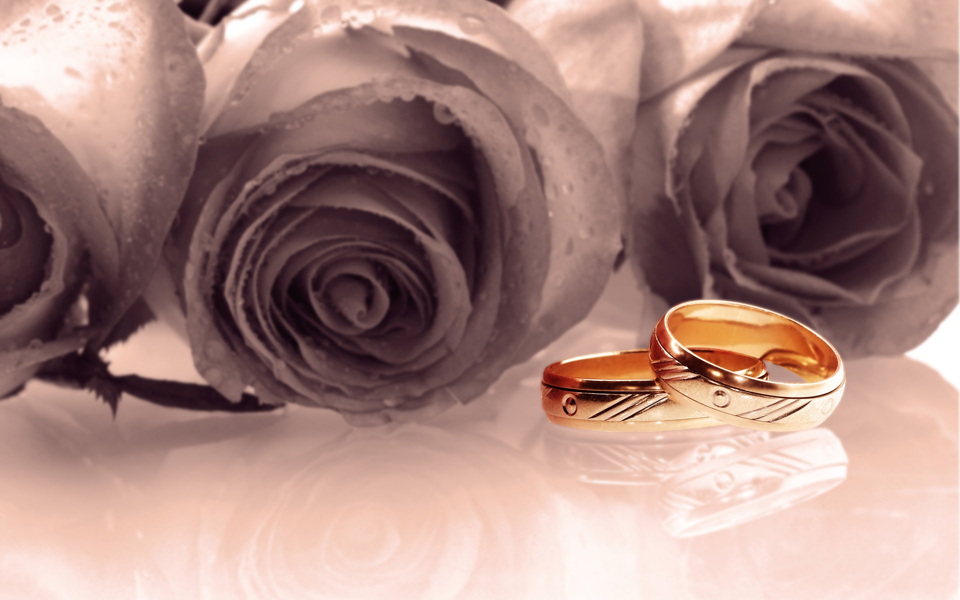 Свадьбы и свадебные кольца обои (2) #10 - 1920x1200