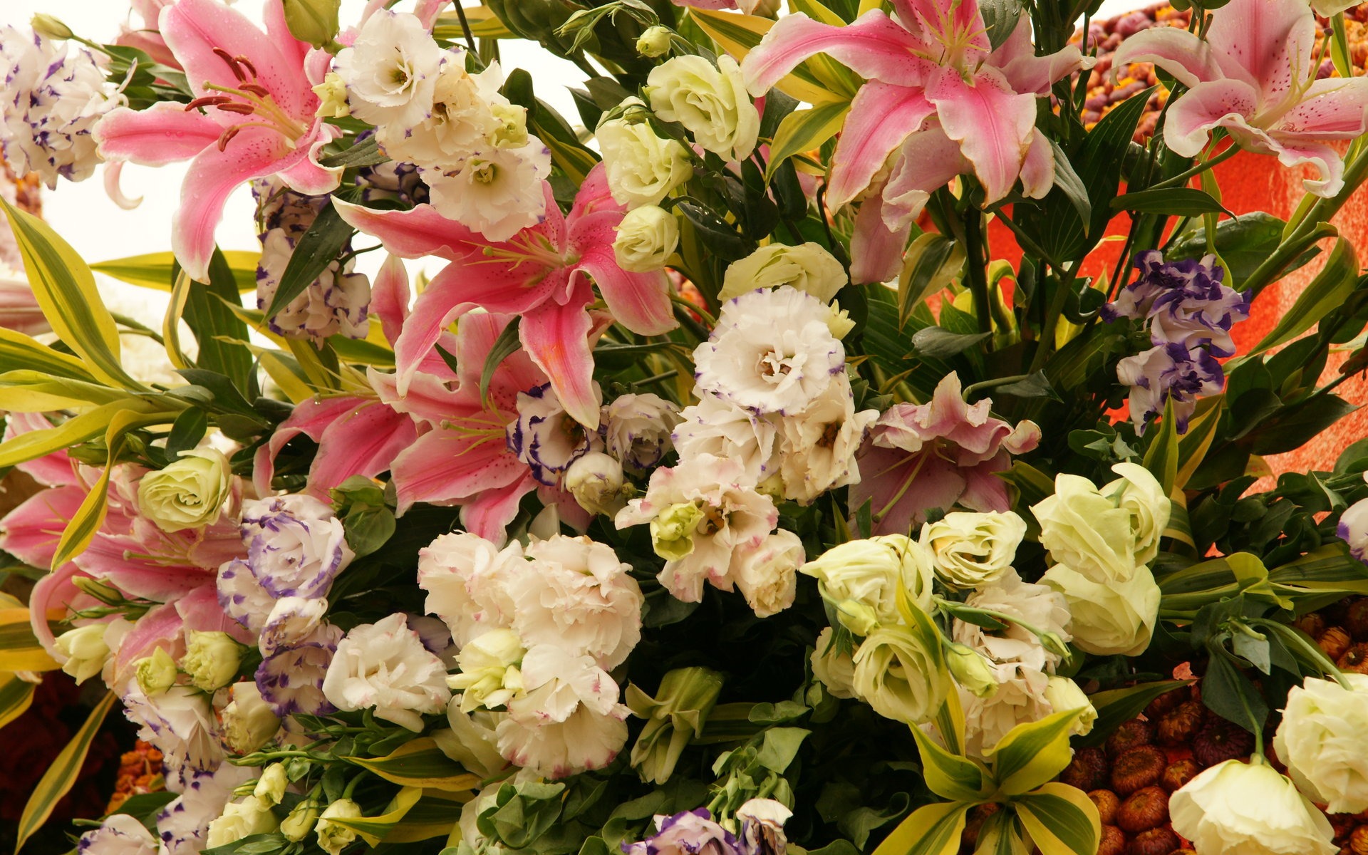 七彩花朵裝飾 壁紙(一) #20 - 1920x1200