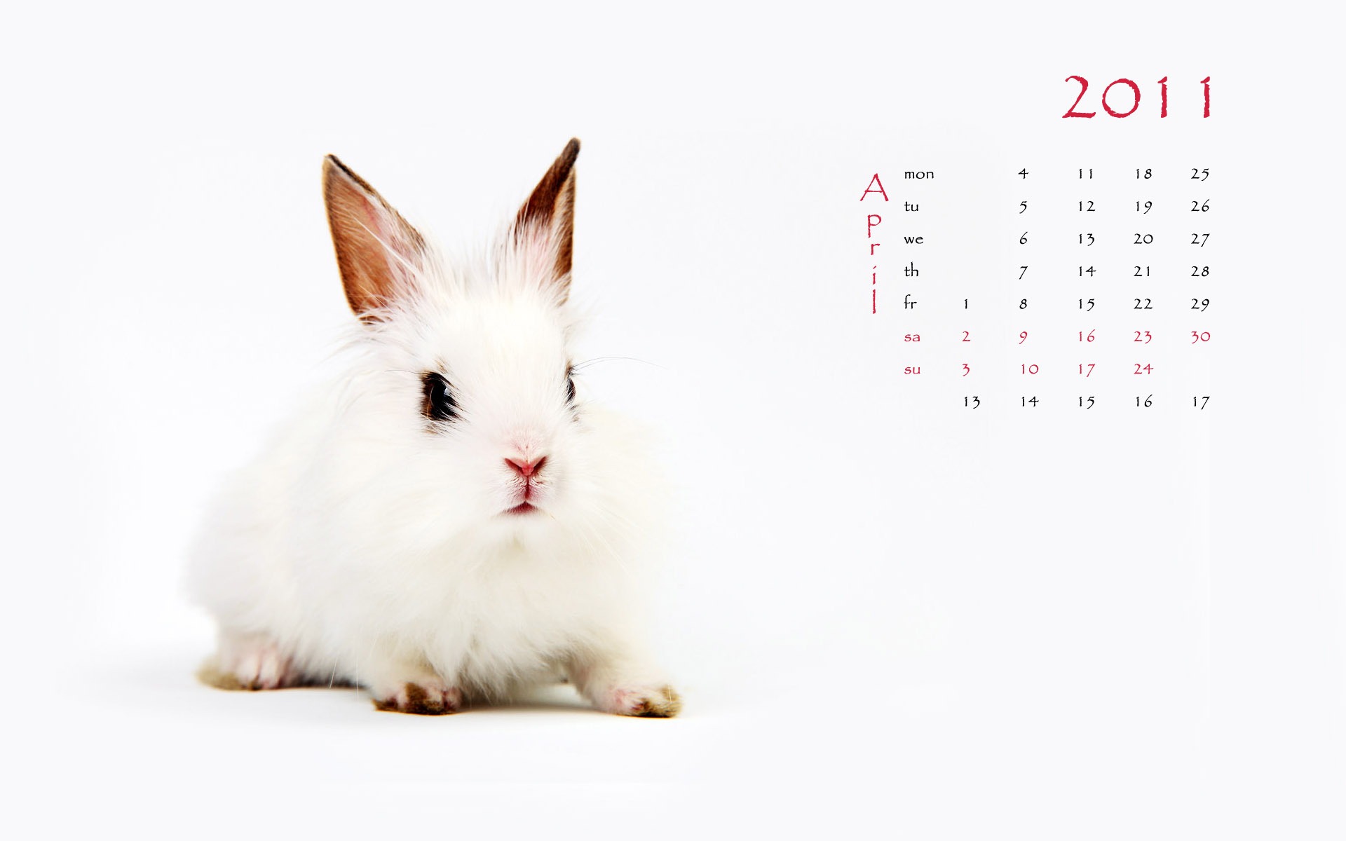 ラビット2011カレンダー壁紙（1）の年 #4 - 1920x1200