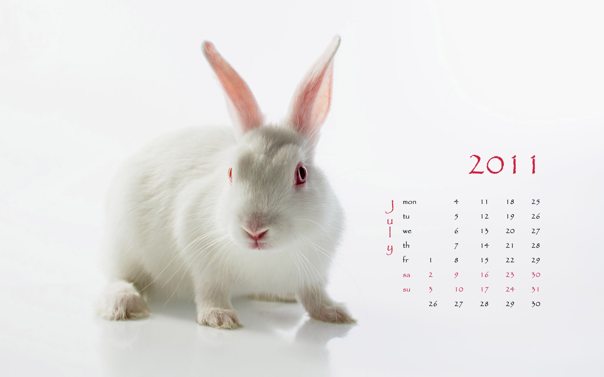 Year of the Rabbit 2011 calendar wallpaper (1) #7 - 1920x1200
