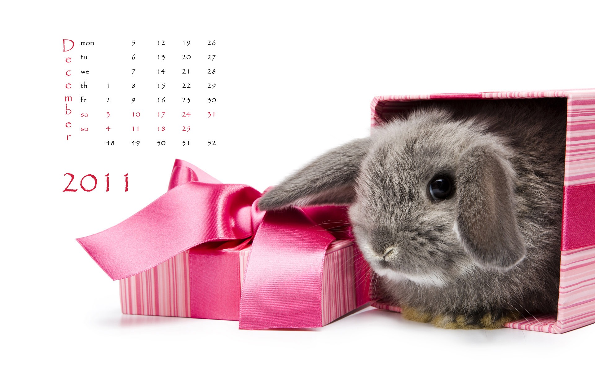Year of the Rabbit 2011 calendar wallpaper (1) #12 - 1920x1200