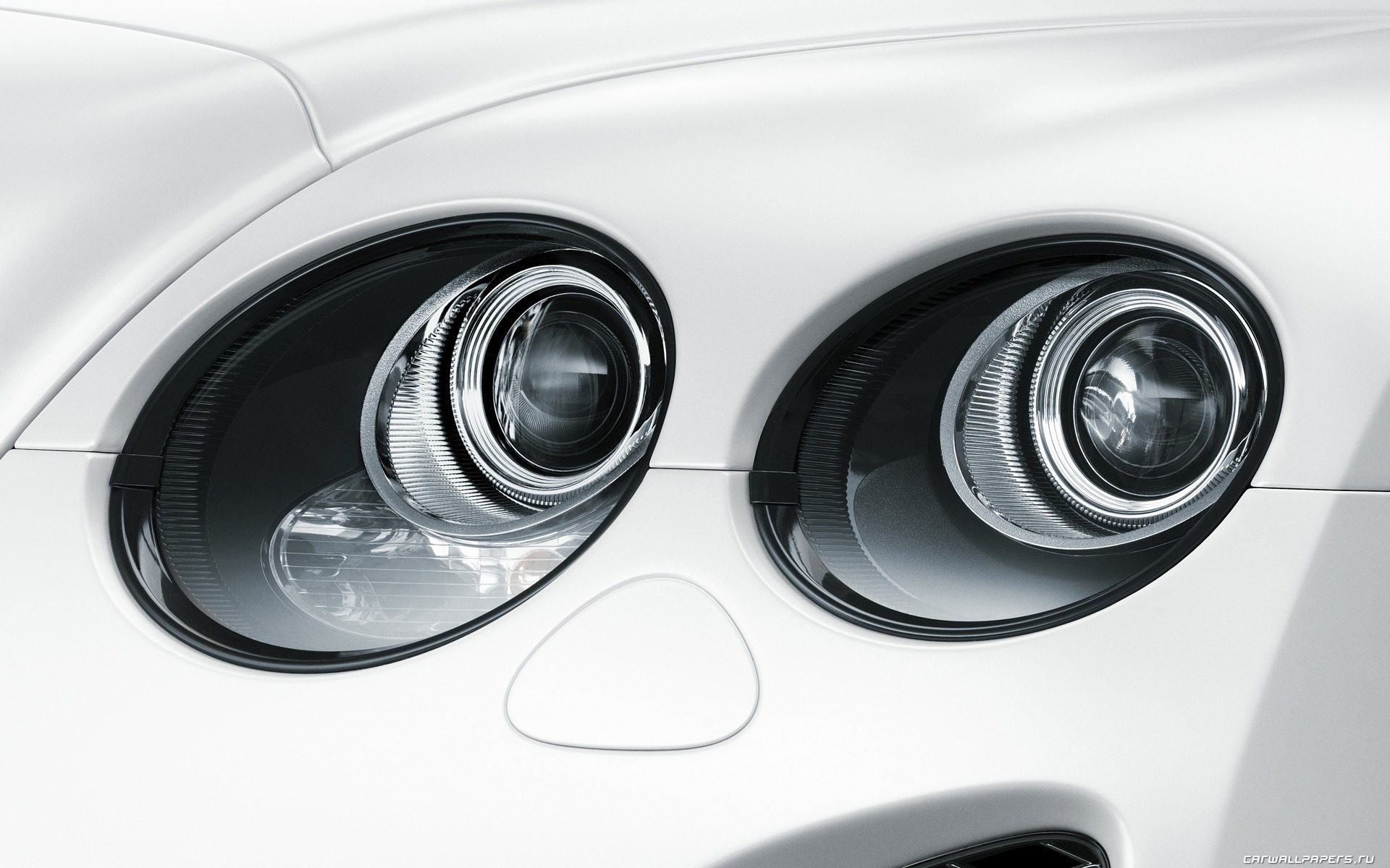 Bentley Continental Supersports Convertible - 2010 賓利 #58 - 1920x1200