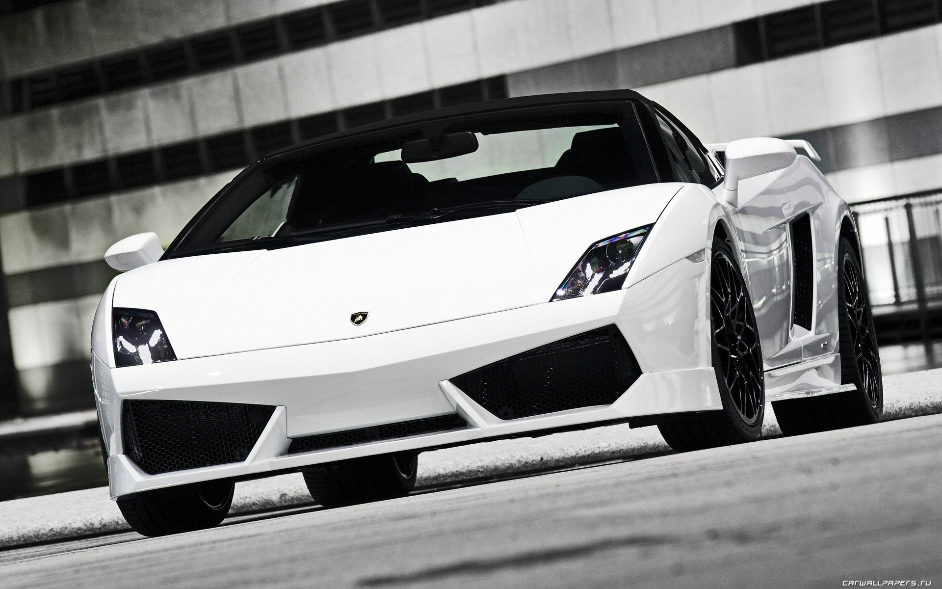 White Lamborghini Gallardo