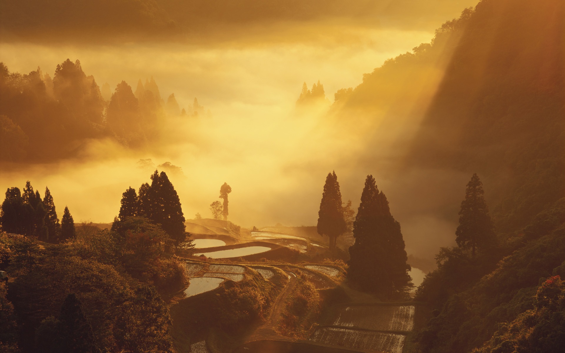 深秋 收穫的季節壁紙 #6 - 1920x1200
