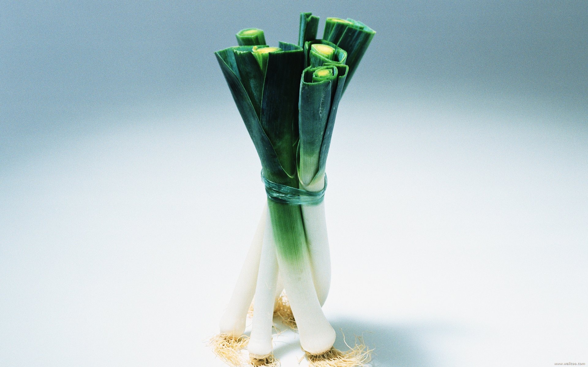 壁紙緑の野菜 #8 - 1920x1200
