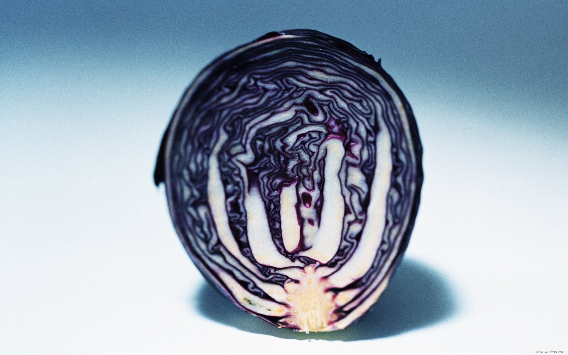 壁紙緑の野菜 #21 - 1920x1200