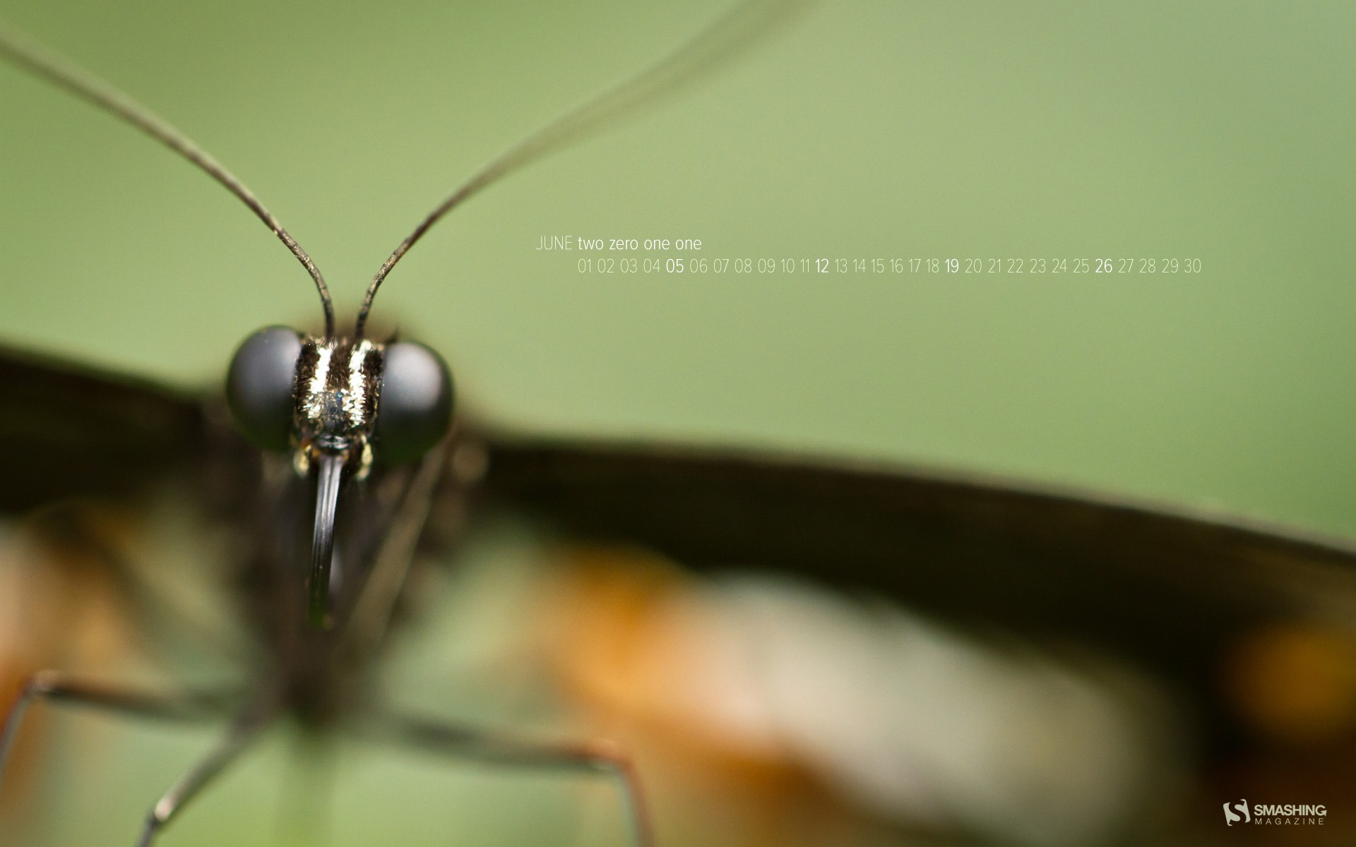 2011年6月 月曆壁紙(一) #10 - 1920x1200