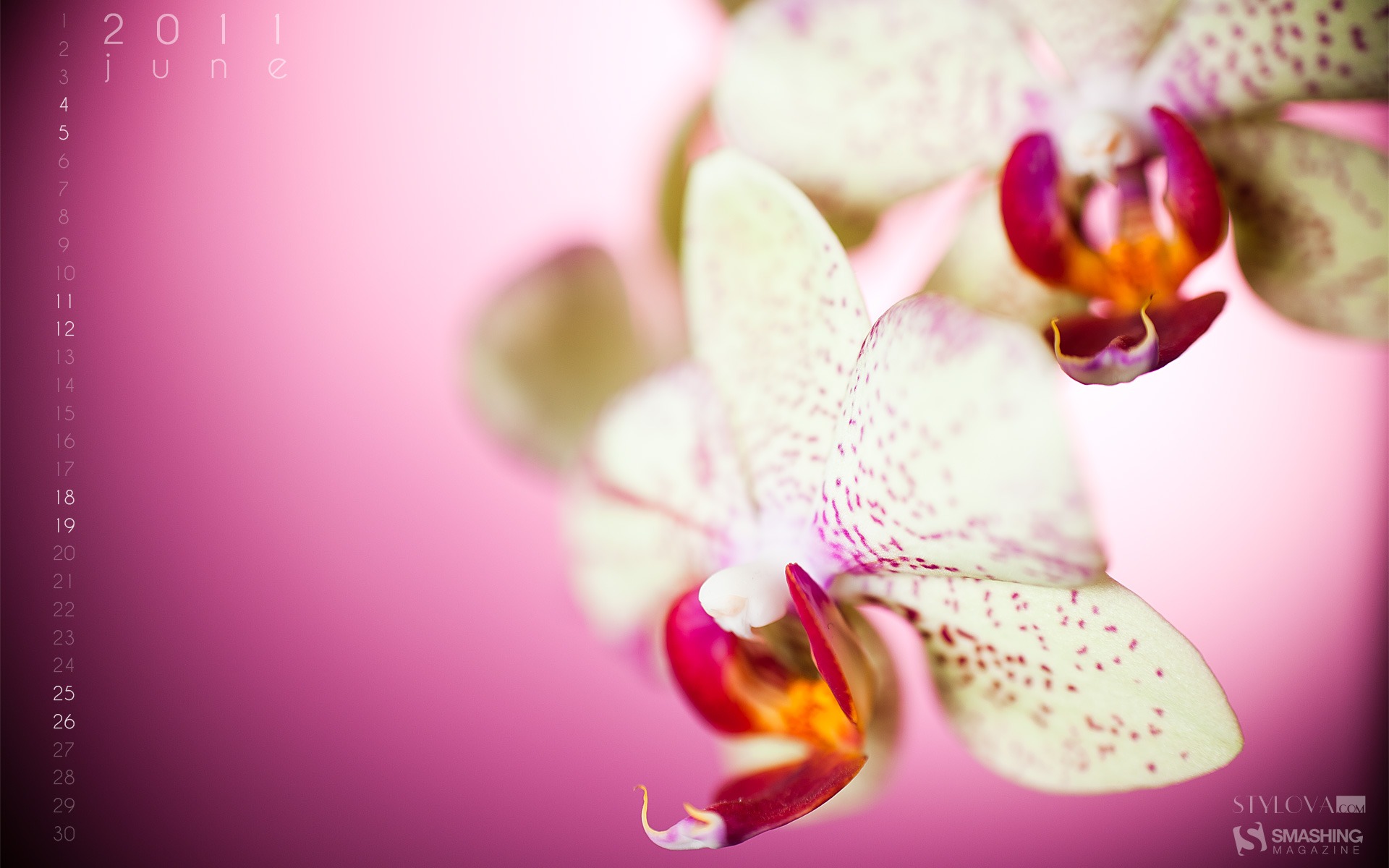 2011年6月 月曆壁紙(二) #3 - 1920x1200
