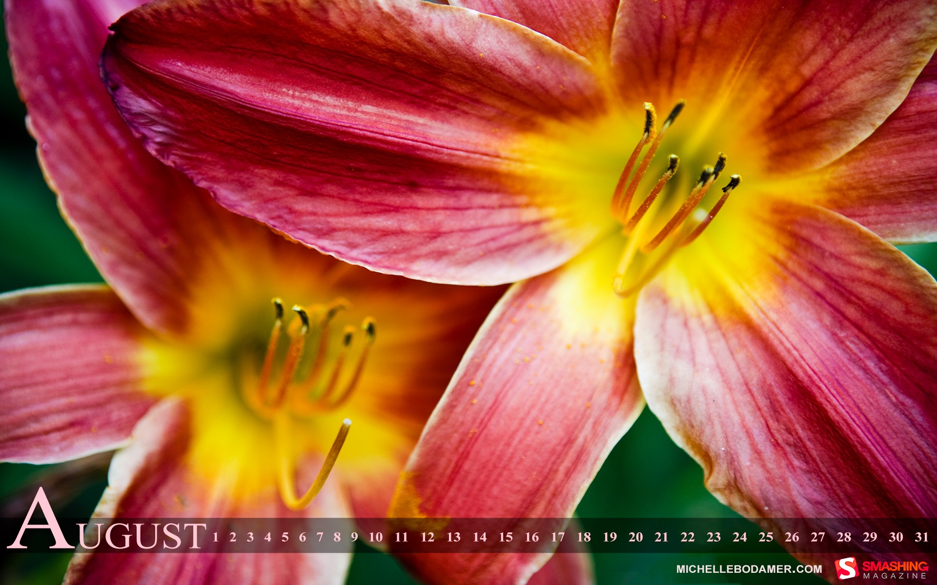 August 2011 calendar wallpaper (1) #1 - 1920x1200