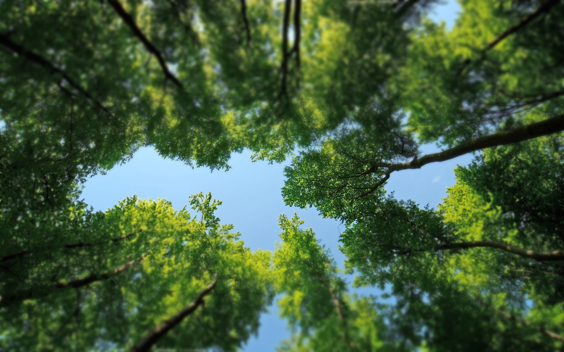 以真亂假 移軸攝影 微縮景觀壁紙(三) #21 - 1920x1200
