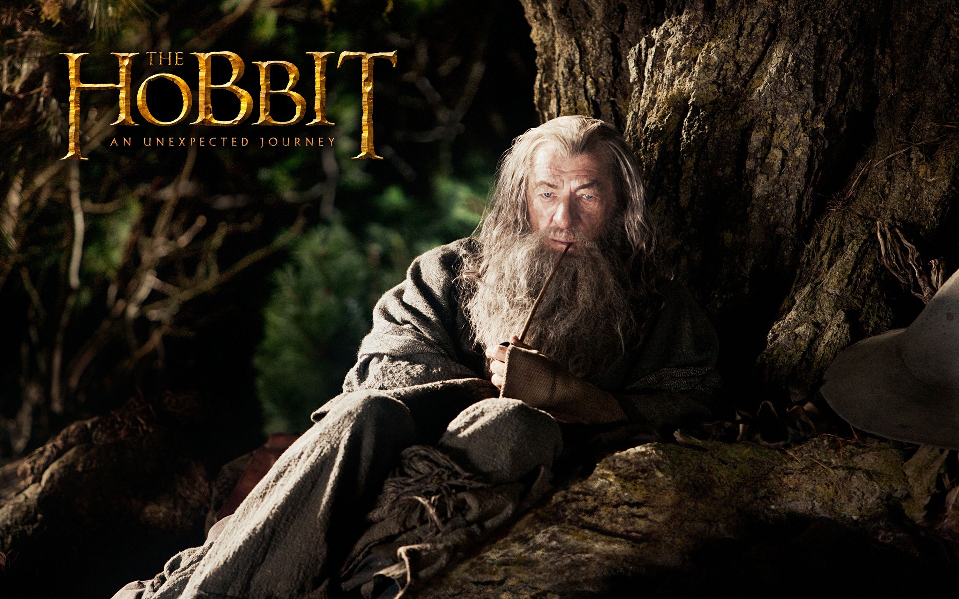 The Hobbit: An Unexpected Journey 霍比特人：意外旅程 #10 - 1920x1200