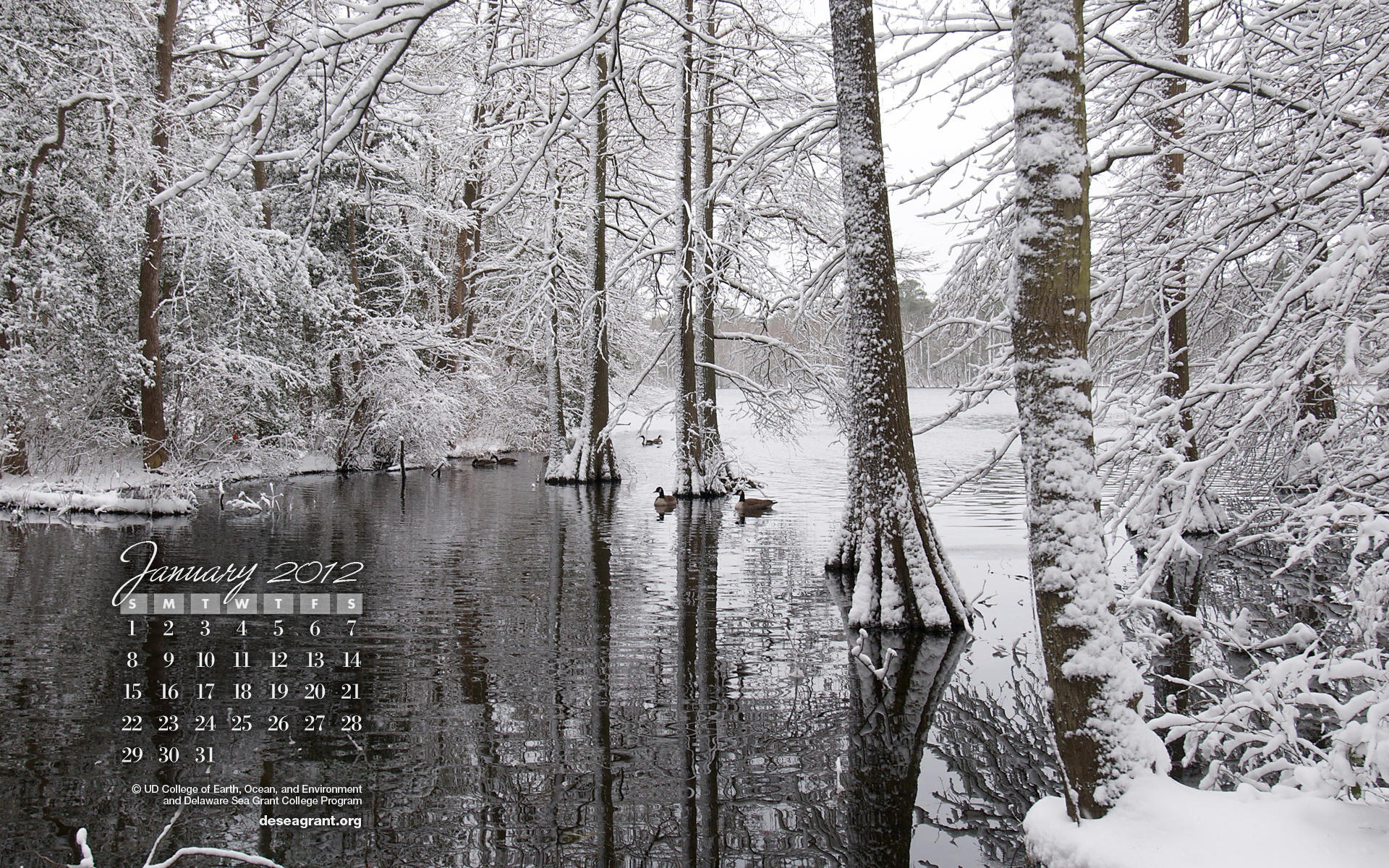 January 2012 Calendar Wallpapers #2 - 1920x1200